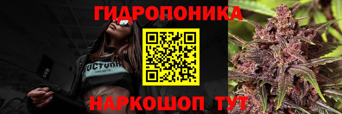Каннабис OG Kush Семилуки